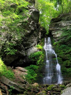 Buttermilk Falls and Forest