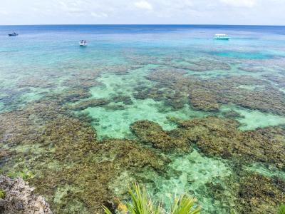 West Bay Roatan Reef and Dive Boats