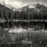 Chipmunk Lake Driftwood