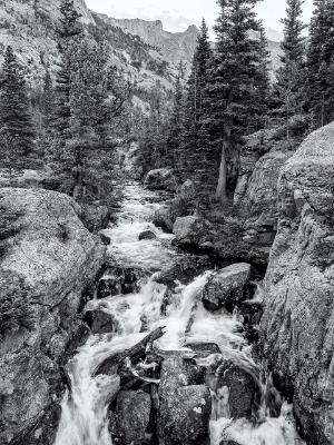 Glacier Creek B&W