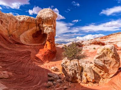 Surreal Swirls of Rock at White Pocket