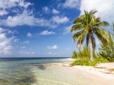 Starfish Point Beach Palm