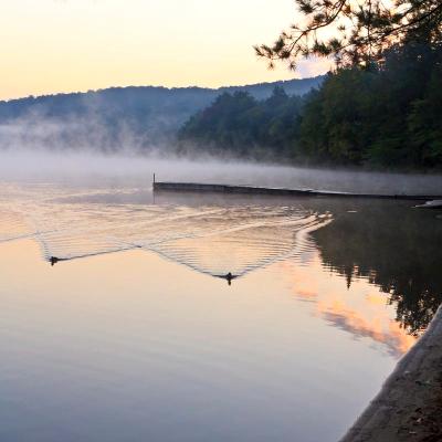 Duck Wakes on 8th Lake