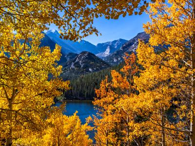 Bear Lake Autumn Vignette