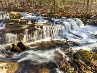 Forest and Falls on Stony Clove Creek