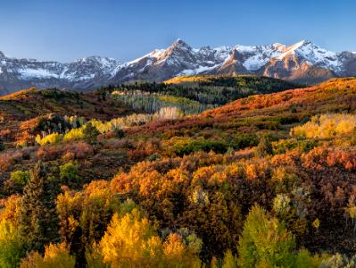 Dallas Divide Vivid Mountainside Panorama (click for full width)