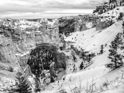 Bryce Natural Arch Black and White