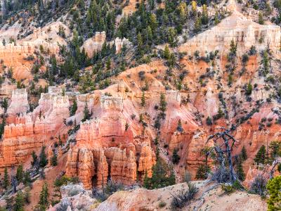 Fairyland Loop Dusk