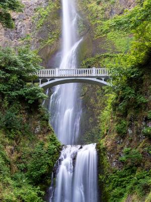 Multnomah Falls Vertical Panorama