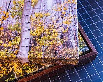 Photo Formats - Canvas