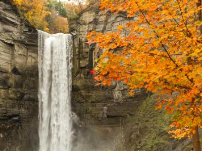 Taughannock Falls and Orange Maple