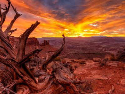 Vivid Canyonlands Textures