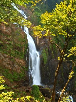 Silky Manatial de Agua Viva Waterfalls