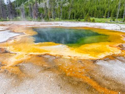 Emerald Pool Hot Springs and Forest