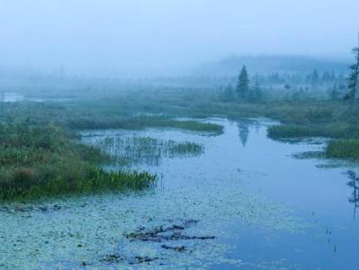 Misty Morning Panorama on Brown's Tract Inlet