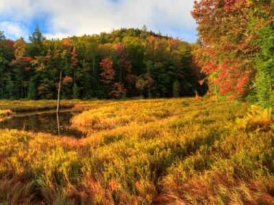 Autumn Morning on Fly Pond