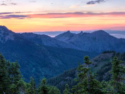 Hurricane Ridge Sunset Panorama