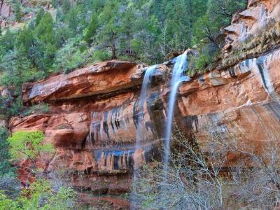 Forest Cliffs Waterfalls