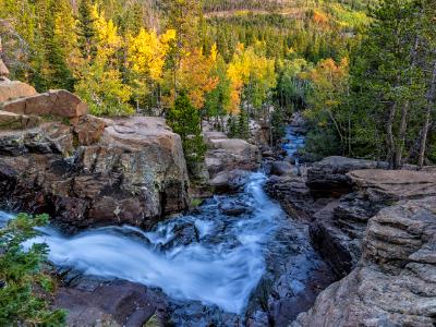 Alberta Falls Autumn Splendor