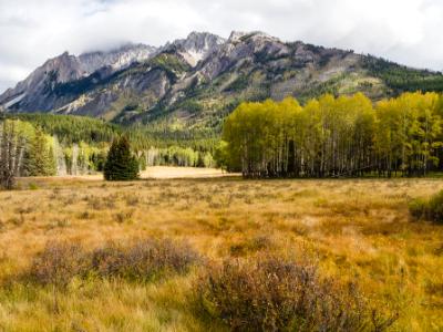 Hillsdale Meadow and Mt. Ishbel