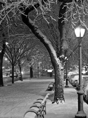 Eastern Parkway First Snow