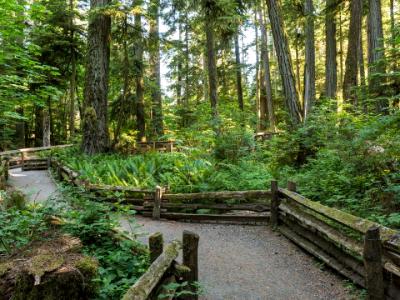 MacMillan Provincial Park Trails