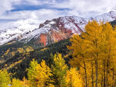 Golden Aspens and Snowy Red Mountain