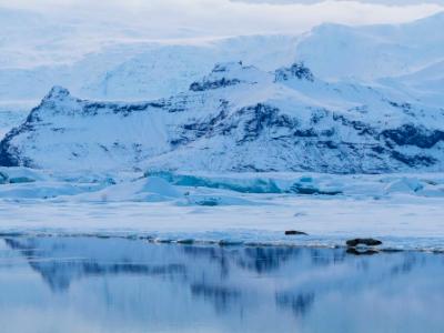 Blue Mountains and Lagoon Seals