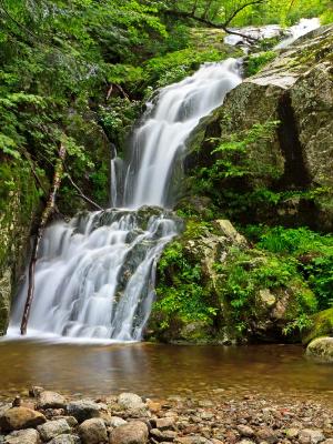 Silky Wedge Brook Falls