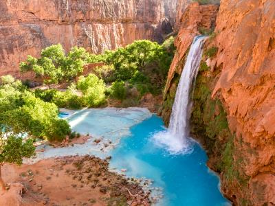 Havasu Falls Turquoise Canyon Oasis