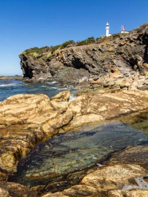 Lobster Head Cove Tidal Pool