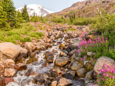 Heliptrope Creek and Mt. Baker