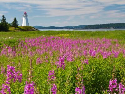 Green's Point Light and Flowers