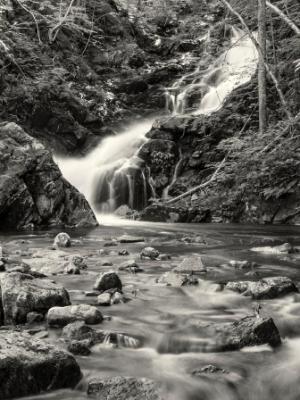 Dreamy Macintosh Brook Black & White