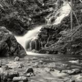 Dreamy Macintosh Brook Black & White