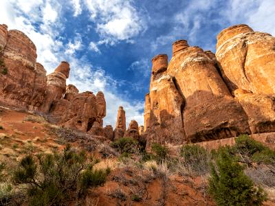 Fiery Furnace Crossing Fins