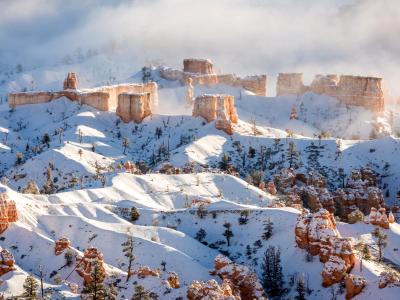 Hoodoos in Fog and Snow