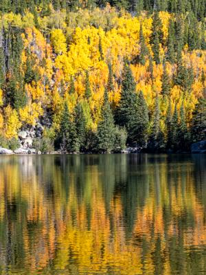 Bear Lake Autumn Mirror Vertical Panorama