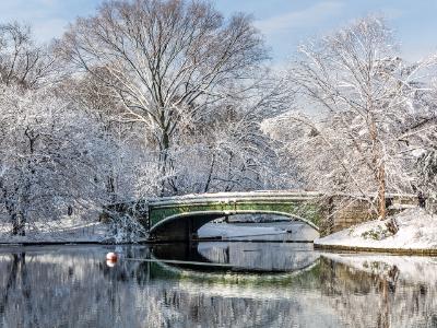 Lullwater Bridge Fresh Snow