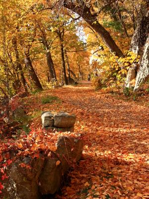 Mohonk Carriage Path