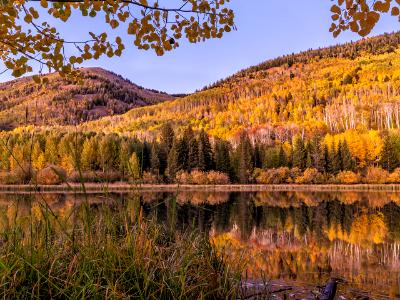 Autumn on Warner Lake Shore