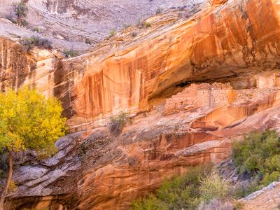 Monarch Cave Autumn Panorama (Click for full width)