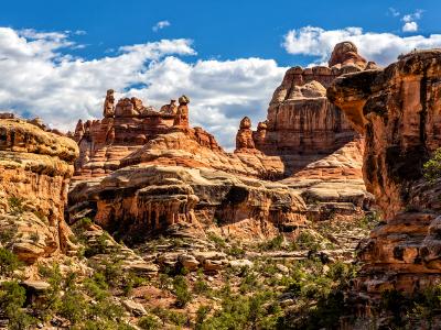 Elephant Canyon Spires Elephant Canyon Spires