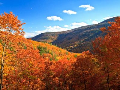 Kaaterskill Clove Peak Color