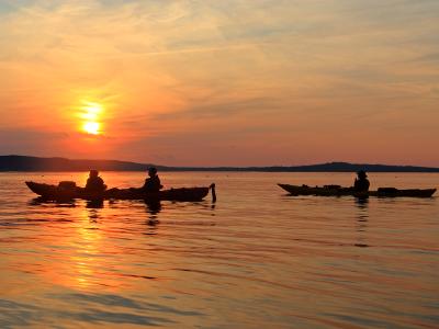 Sunset Kayakers in Bar Harbor