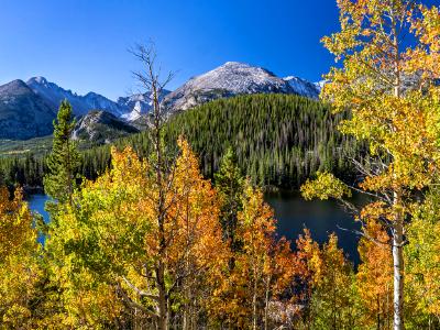 Bear Lake Aspen Panorama (click for full width)