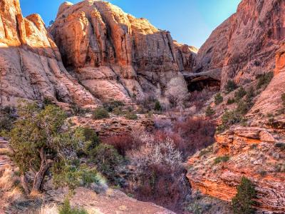 Canyon and Morning Glory Natural Bridge