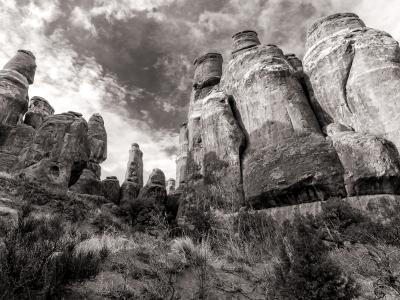 Fiery Furnace Fins Black and White