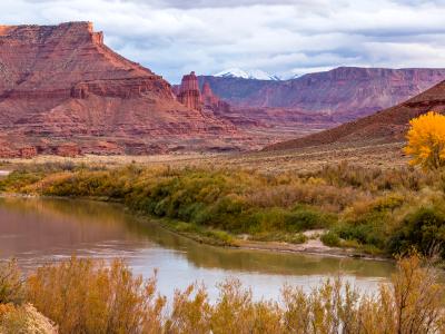 Fisher Towers and Lone Yellow Tree