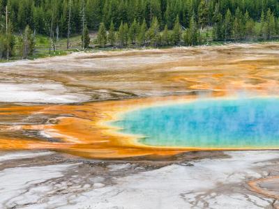 Grand Prismatic Spring from Overlook